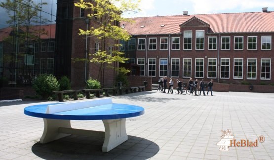 concrete Ping-Pong table - round